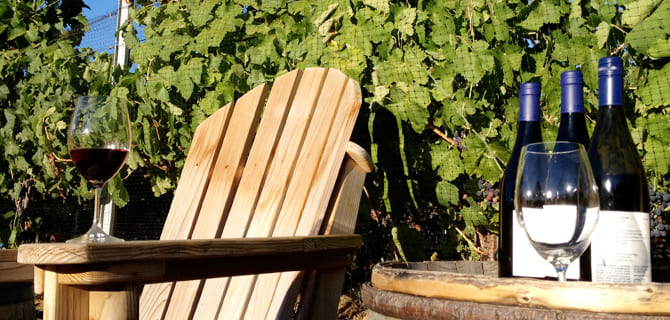 Vins negres per a l’estiu