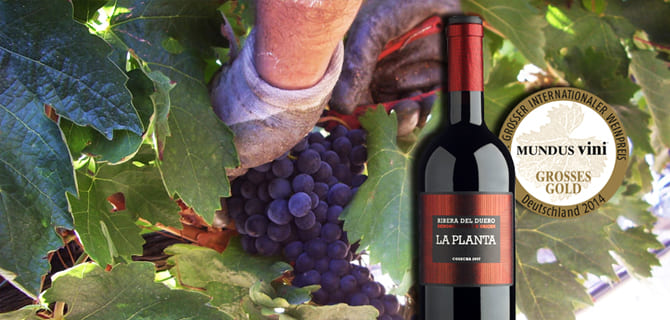 La Planta 2012, Gran Medalla de Oro en el certámen Mundus Vini