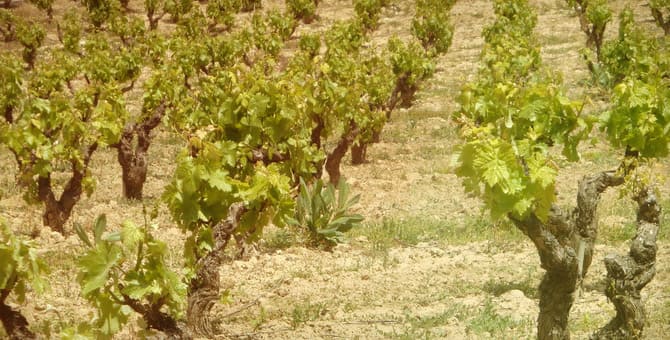 Temps de canvi a La Rioja