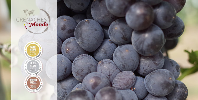 garnachas
