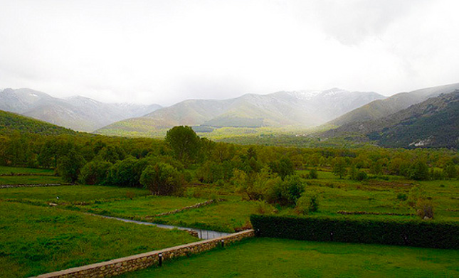 Noves puntuacions Parker per a garnatxes de Gredos – Març 2016
