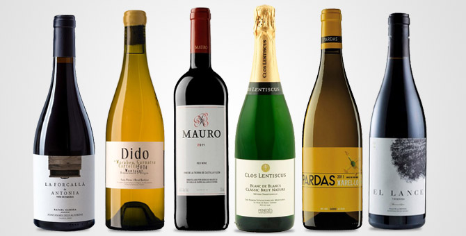 Nuevos vinos Julio 2016