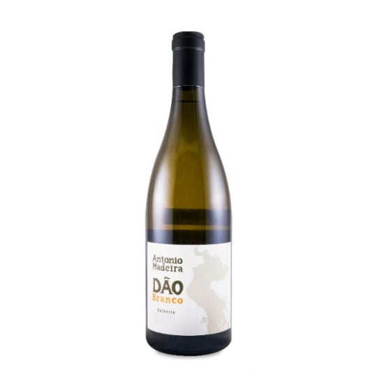 António Madeira Branco 2024