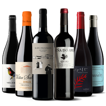 Essential Spanish Wines I