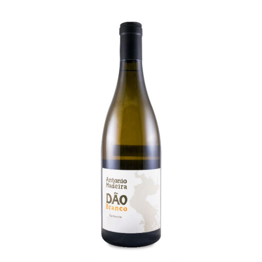 António Madeira Branco 2024