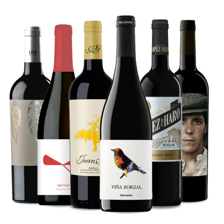 Wichtige spanische Weine I Wichtige spanische Weine I