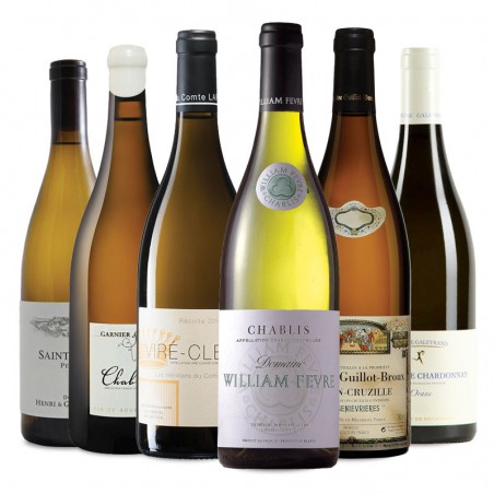 Conoce los vinos blancos de la Borgoña y su variedad principal: Chardonnay		