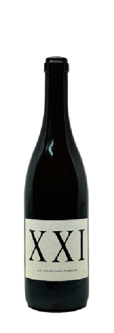 Domaine Didier Dagueneau XXI Domaine Didier Dagueneau XXI