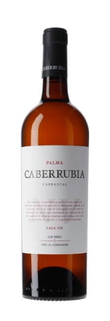 Luis Pérez Fino Caberrubia Saca VIII Luis Pérez Fino Caberrubia Saca VIII