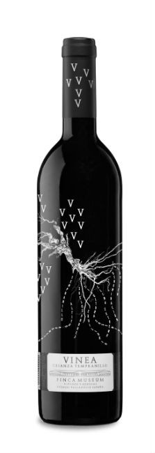 Museum Vinea Crianza Museum Vinea Crianza