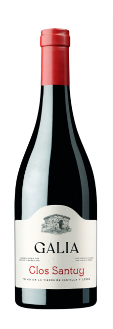 Galia Clos Santuy Galia Clos Santuy