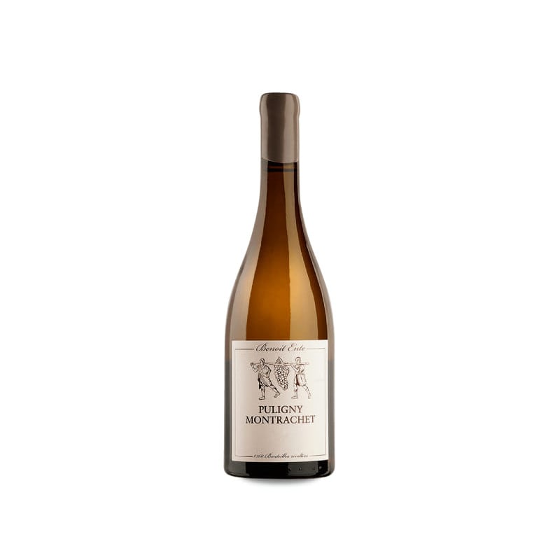Benoît Ente Puligny-Montrachet 2020 | Decántalo