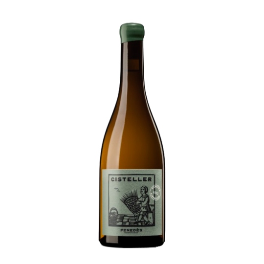 Cisteller Verbena 2024