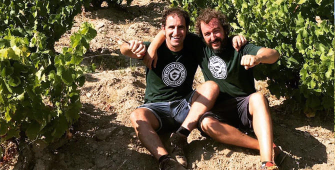 Grape-picking in Comando G: Fine wines / high class work