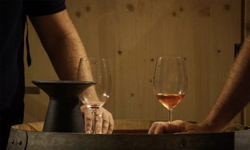Unique wines. Unmissable wines. Sara Pérez wines.