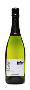 Júlia Bernet 60x40 Brut Nature Júlia Bernet 60x40 Brut Nature