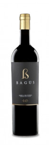 Bagús Bagús