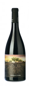 La Garnacha Olvidada de Aragón La Garnacha Olvidada de Aragón
