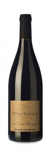 Domaine Antoine Sanzay Saumur Champigny Domaine Antoine Sanzay Saumur Champigny