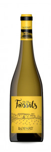 Llopart Clos dels Fóssils Llopart Clos dels Fóssils