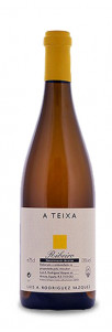 A Teixa Blanco A Teixa Blanco