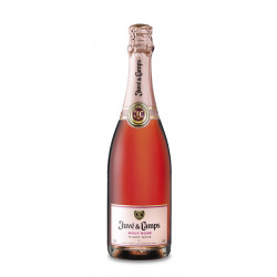 Juvé y Camps Pinot Noir...