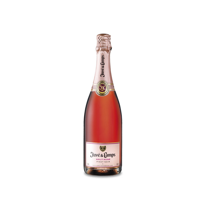 Juvé & Camps Pinot Noir Brut Rosé