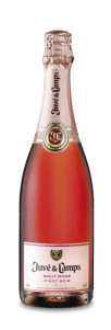 Juvé y Camps Pinot Noir Brut Rosé Juvé y Camps Pinot Noir Brut Rosé