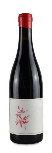 Arnot-Roberts Pinot Noir Sonoma Coast Arnot-Roberts Pinot Noir Sonoma Coast