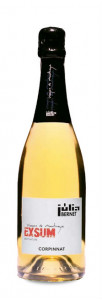 Júlia Bernet Brut Nature Exsum Xarel·lo Vermell Júlia Bernet Brut Nature Exsum Xarel·lo Vermell