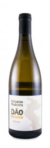 António Madeira Branco António Madeira Branco