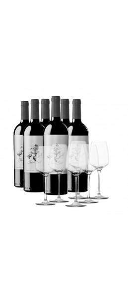 Box 6 bottles Juan Gil Silver Label 12 meses + 6 glasses