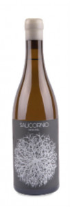Salicornio Moscatel Salicornio Moscatel