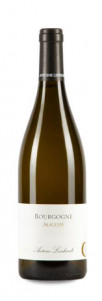 Antoine Lienhardt Bourgogne Aligoté Antoine Lienhardt Bourgogne Aligoté