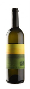 Muster Gelber Sauvignon vom Opok Muster Gelber Sauvignon vom Opok