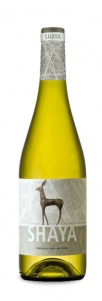 Shaya Verdejo Shaya Verdejo