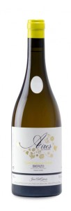 Aires de Vendimia Godello Barrica Aires de Vendimia Godello Barrica