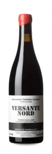 Eduardo Torres Versante Nord Eduardo Torres Versante Nord