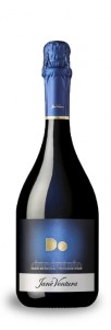 DO Gran Reserva Vintage Jané Ventura DO Gran Reserva Vintage Jané Ventura