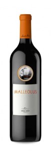 Malleolus Malleolus