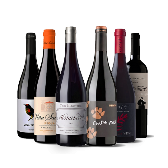 Wichtige spanische Weine I