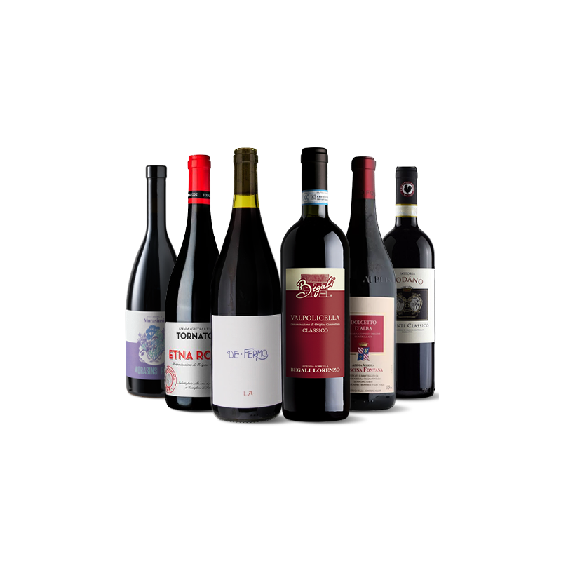 Conoce Italia A Través De Sus Vinos