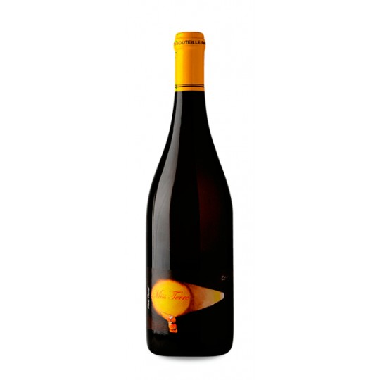 Domaine de la Sénéchalière...