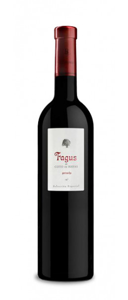 Fagus