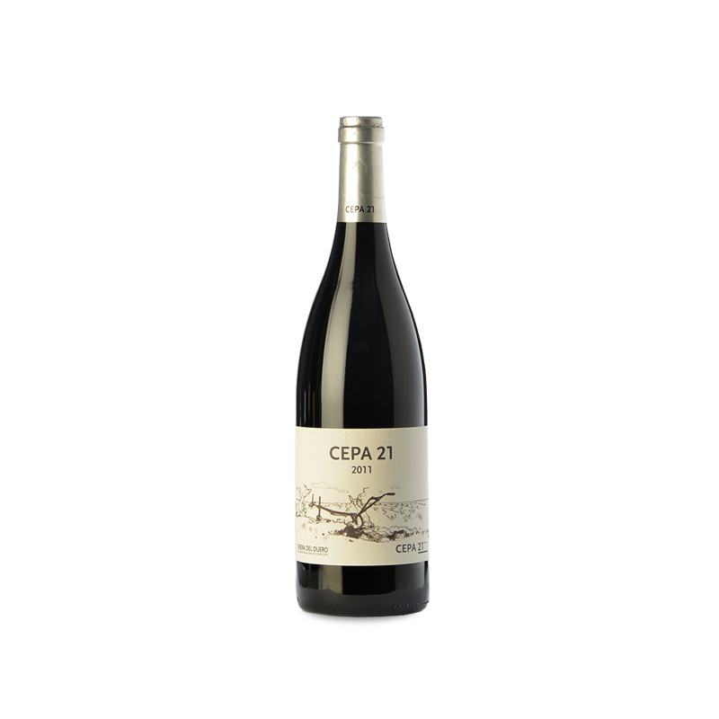 Cepa 21 Magnum 2019