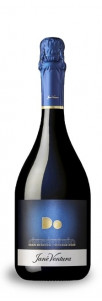 DO Gran Reserva Vintage Jané Ventura DO Gran Reserva Vintage Jané Ventura
