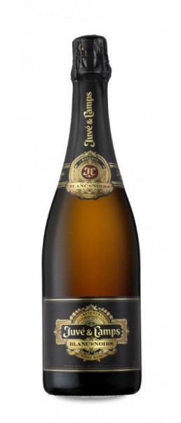 Juvé & Camps Blanc de Noirs