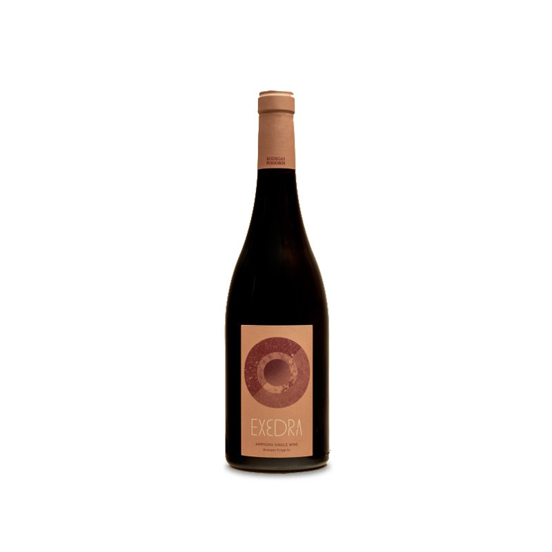 Puiggròs Exedra Amphora Single Wine Negre 2021