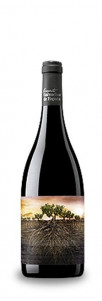 La Garnacha Olvidada de Aragón La Garnacha Olvidada de Aragón