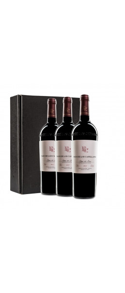 Estuche 3 botellas Pago de los Capellanes Crianza